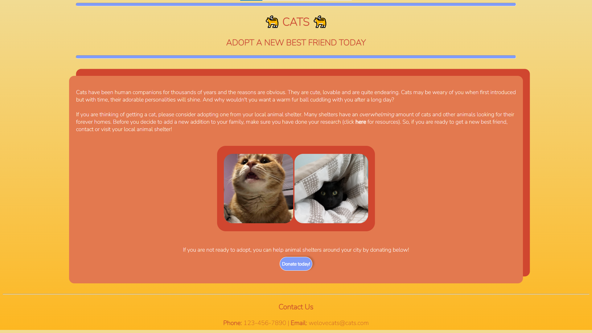 cat webpage preview